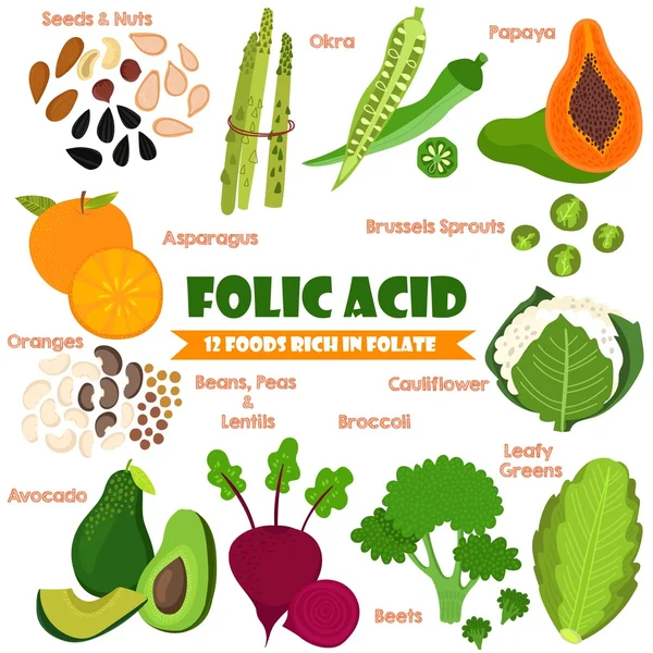 Vitamins and Minerals foods Illustrator set 14.Vector set of 12 — Stok Vektör