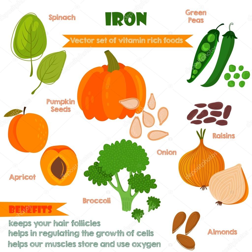 Vitamins And Minerals Foods Illustrator Set 4 Vector Set Of Vita Stock 
