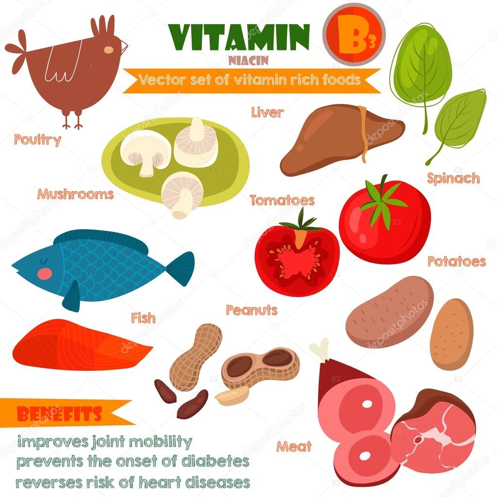 Vitamins and Minerals foods Illustrator set 8.Vector set of vita