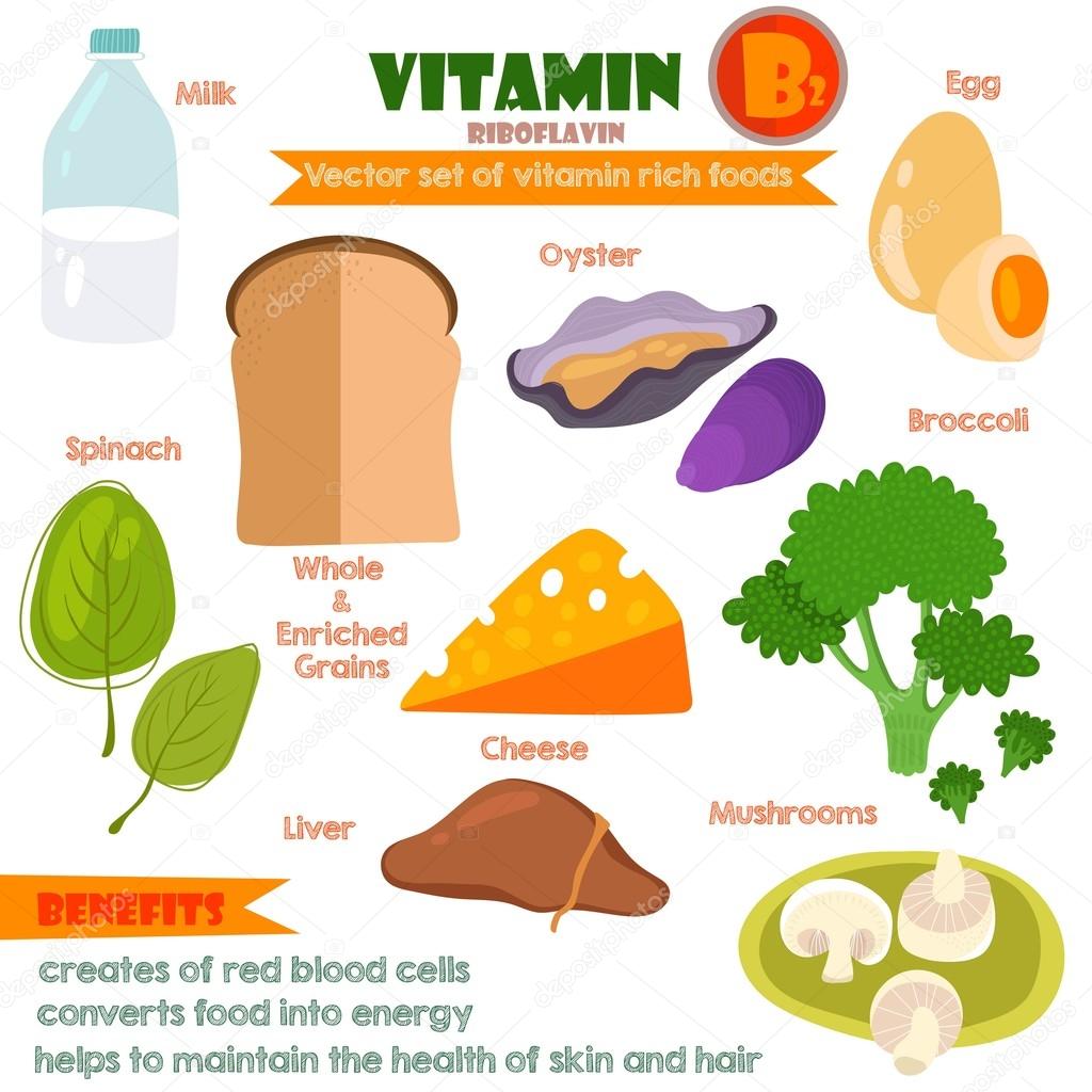 Vitamins and Minerals foods Illustrator set 7.Vector set of vita