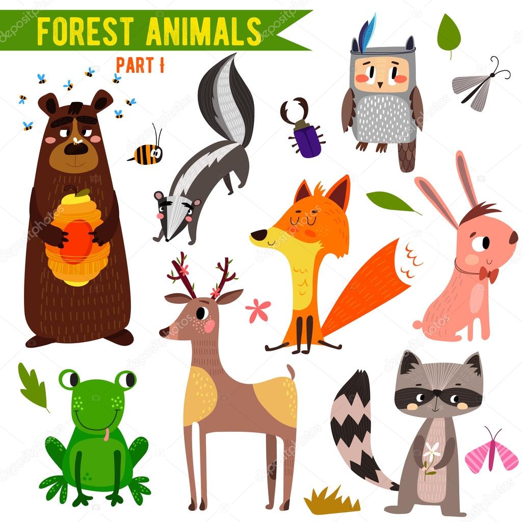 Woodland and Forest Animals