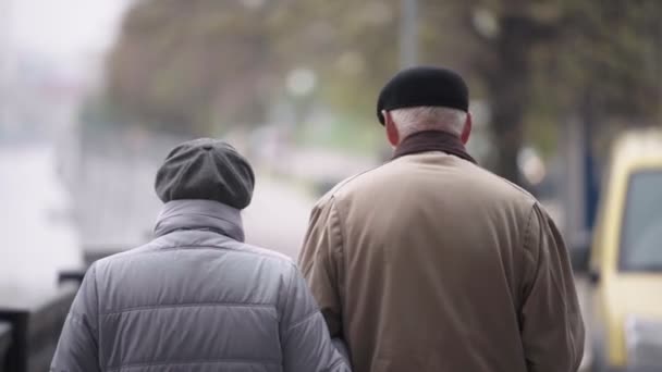 Älteres Ehepaar läuft im Herbst händchenhaltend die Böschung entlang — Stockvideo