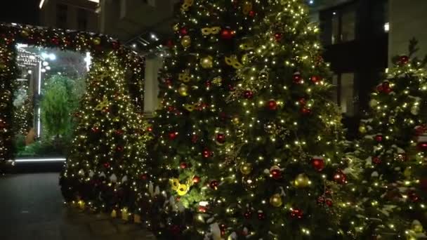 Illuminations de Noël dans les rues de la ville, la ville décoration lumineuse — Video