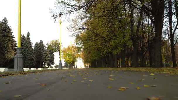 완전히 빈 가을 파크 골목. 움직이는 카메라 — 비디오