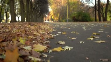 Tamamen boş bir sonbahar parkı. Kamera hareket halinde