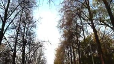 Tamamen boş bir sonbahar parkı. Kamera hareket halinde