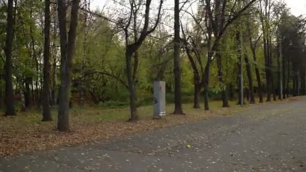 Callejón del parque de otoño absolutamente vacío. cámara en movimiento — Vídeos de Stock