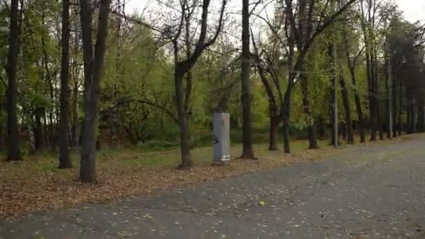 Allée de parc d'automne absolument vide. caméra en mouvement — Video