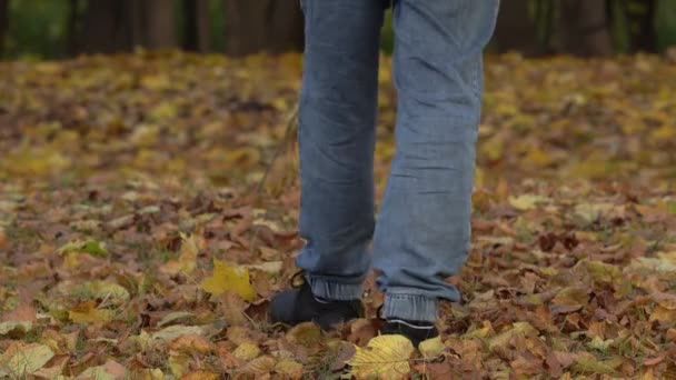 Las piernas de un hombre paseando por el follaje dorado del otoño — Vídeos de Stock