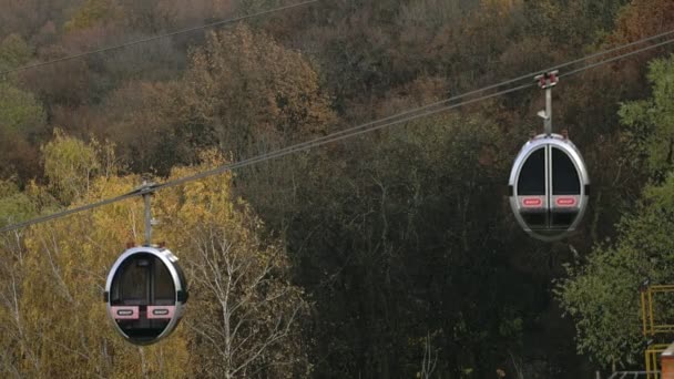 Cabinele moderne de cablu se plimbă printre pădure . — Videoclip de stoc