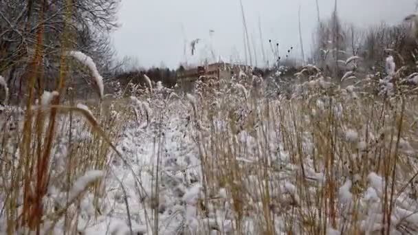 Un edificio abandonado de los tiempos de la URSS en invierno en un lugar cubierto de vegetación. quitado de las manos — Vídeo de stock