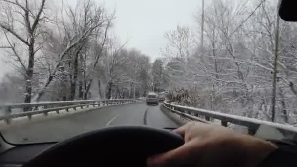 Mans bir banliyö yolunda, kışın karlı bir günde, birinci şahıs manzaralı bir araba sürer. POV — Stok video