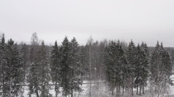 Gyönyörű táj az orosz falu télen, hátterében a téli erdő. légi felvétel a nap folyamán — Stock videók