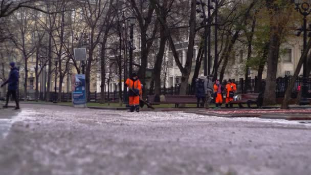 Moskwa, Rosja grudzień 2020: specjalne służby komunalne oczyszczają park na samym początku zimy. dolly kamera strzał — Wideo stockowe