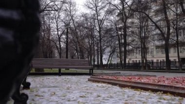 Kışın başında COVID 19 salgını sırasında parktaki tamamen boş, terk edilmiş bir park. Kıyametin görüntüsü. Doli kamera görüntüsü