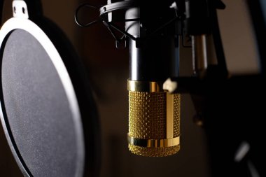 Ev kayıt stüdyosundaki izole mikrofon. Müzik için mikrofon, evde kayıt için podcast.