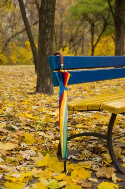 Sonbahar parkta bir banka yakındaki şemsiye