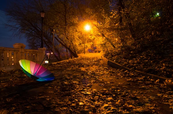 Парасолька в ніч Осінній Парк — стокове фото