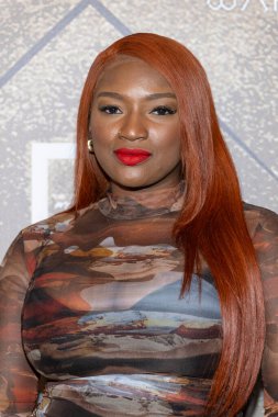 Şarkıcı / Aktris Cherise Antrenörleri 2025 Micheaux Film Festivali Altın Gecesi 'ne katıldı: One Culver, Los Angeles, CA' da Genç Hollywood Partisi, 25 Ekim 2025