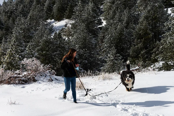 Glimlachende Jonge Vrouw Spelen Met Haar Hond Sneeuw Wintervakantie Wandelen — Stockfoto