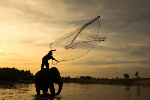 Pêcheur sur éléphant — Photo