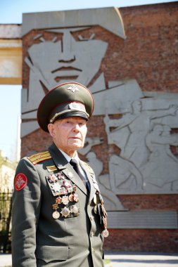 Stalingrad Savaşı Albay Vladimir Turov Pa, emektar