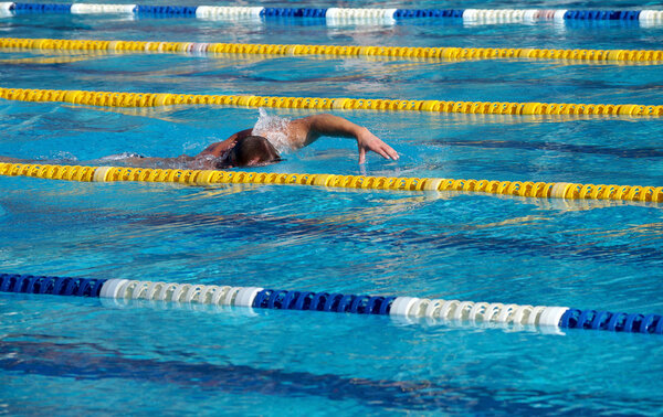 Swimmer in the swimming pool