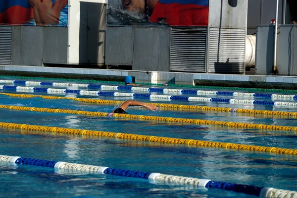Nadador na piscina — Fotografia de Stock
