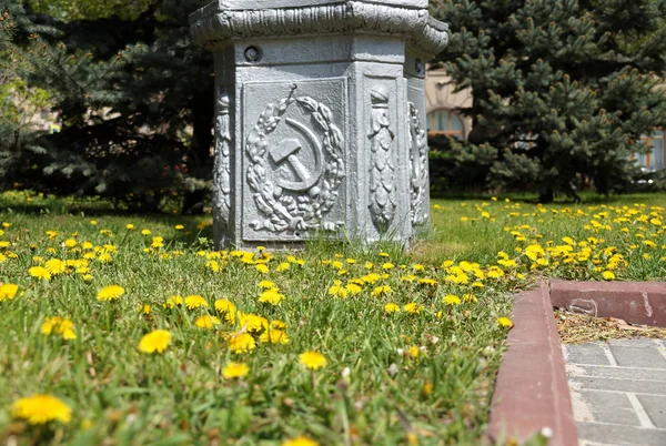 Pampelišky na trávníku v městském parku — Stock fotografie