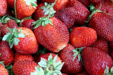 Koyu kırmızı çilek saçılma