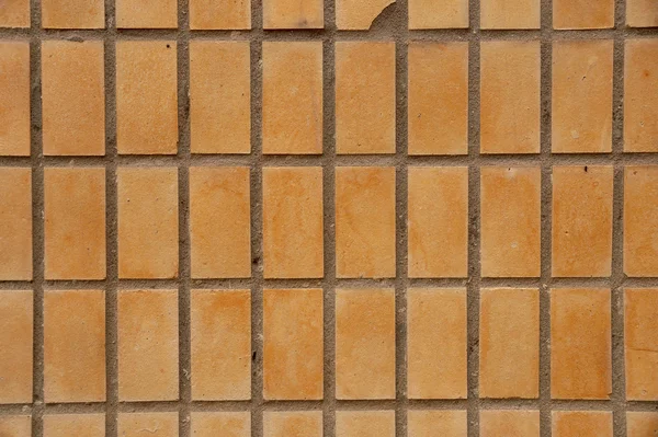 Beige facing tile on a wall — Stock Photo, Image