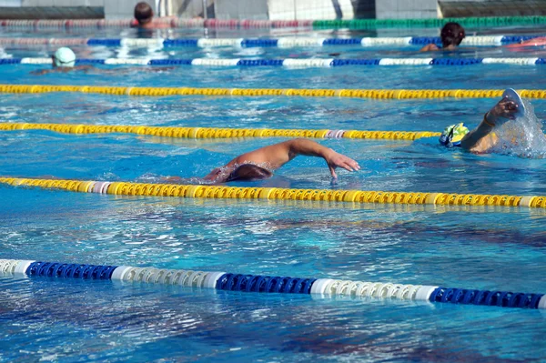 Nadador en la piscina — Foto de Stock