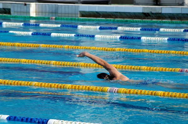 Schwimmer im Schwimmbad — Stockfoto