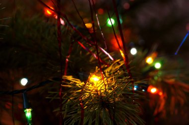 Köknar ağacı Garland parlayan yangınları