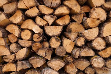 Fırının yakıtı olarak yakacak odun üretmek için tıkanıklığı yerleştirmek.                         