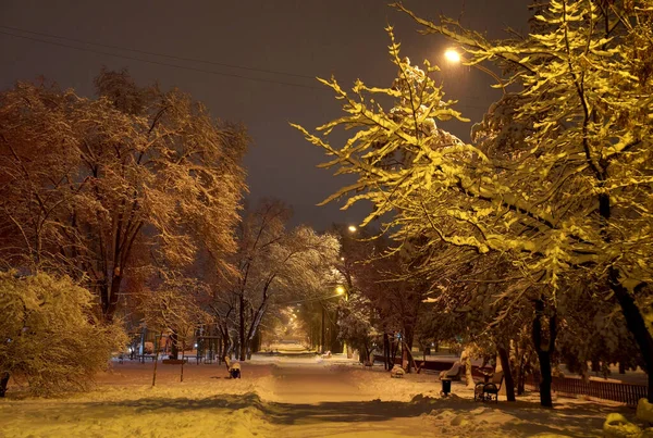 Rusya Nın Volgograd Şehrindeki Parkın Karla Kaplı Ara Sokaklarında — Stok fotoğraf