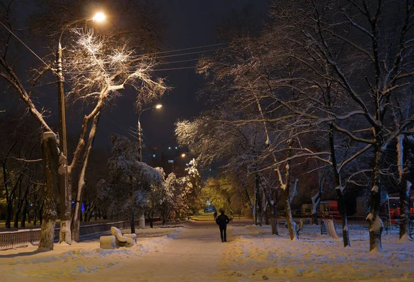 Rusya Nın Volgograd Şehrindeki Parkın Karla Kaplı Ara Sokaklarında — Stok fotoğraf