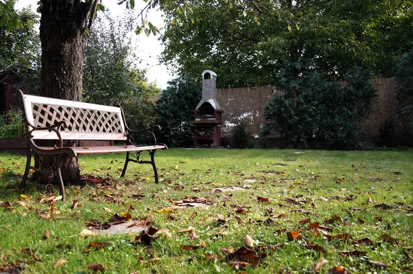 Bench Relaxing Garden Plot Land — Stock Photo, Image