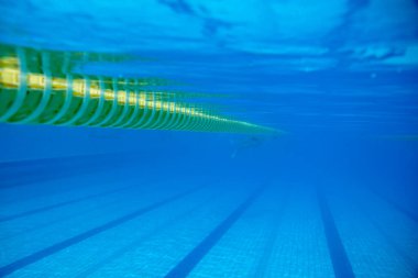 Büyük açık yüzme havuzundaki patikaların ayırıcıları.                             