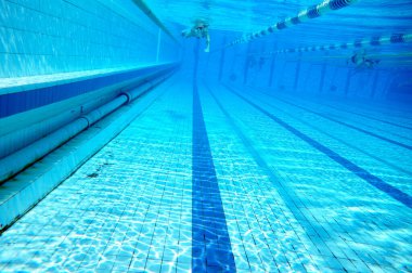 Büyük açık havuzda yüzen.                              