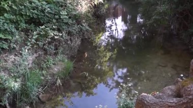 Karadeniz 'in kıyı bölgesinde yavaş bir dere var.