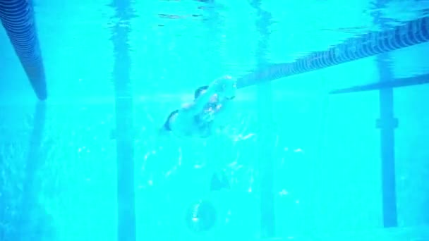 Onderwater Schieten Van Een Zwemmer Beweging Een Zwembad — Stockvideo