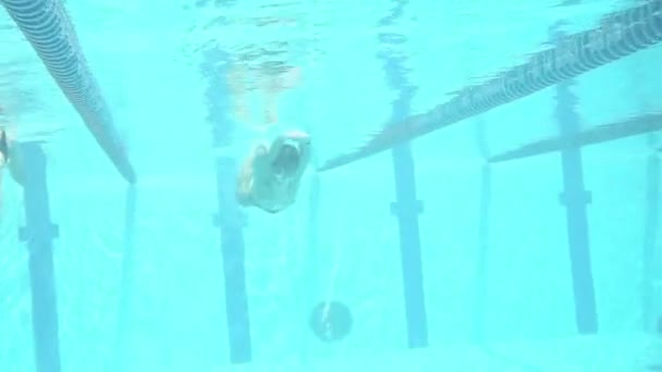Undervattensfotografering Simmare Rörelse Pool — Stockvideo
