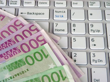 Euro ve bilgisayar