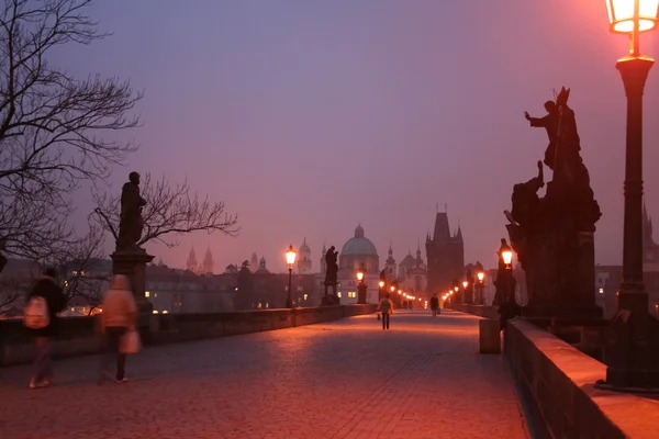 Dawn on Charles Bridge in Prague — Stock Photo, Image