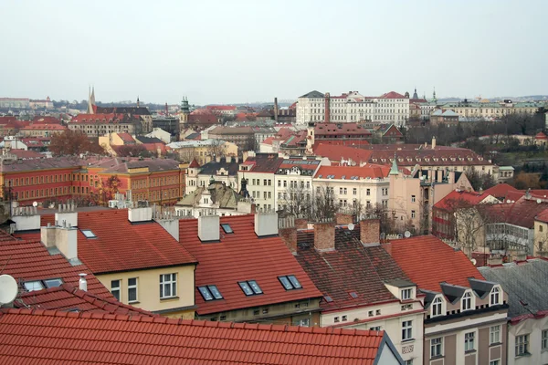 プラハの街の屋根 — ストック写真