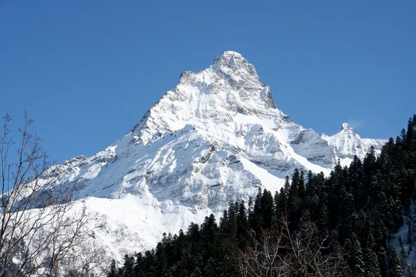 Haut de montagne — Photo