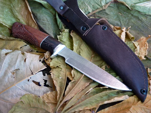 Knife tourist from Damascus  steeld — Stock Photo, Image