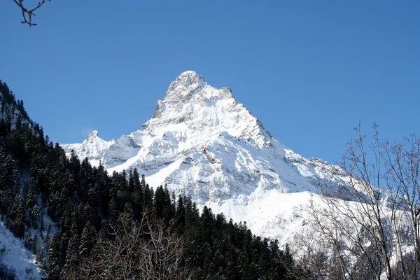 Haut de montagne — Photo