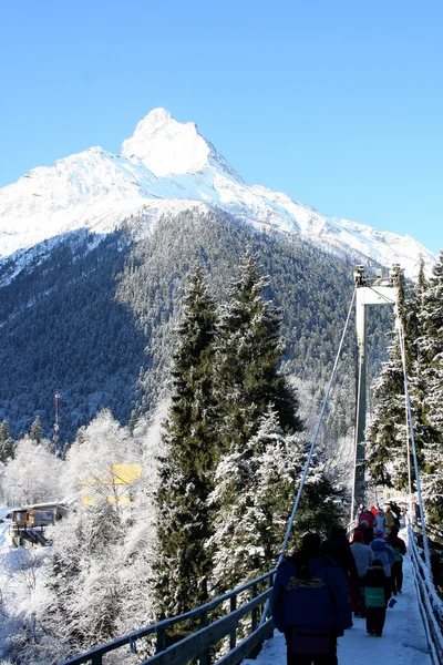 Die Brücke durch die Schlucht — Stockfoto